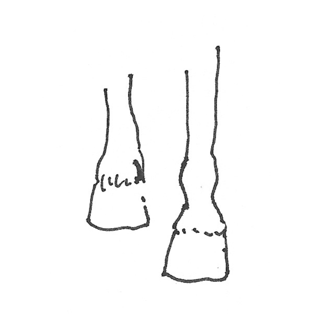 Illustraties-vierkant_4 Illustraties-vierkant_4