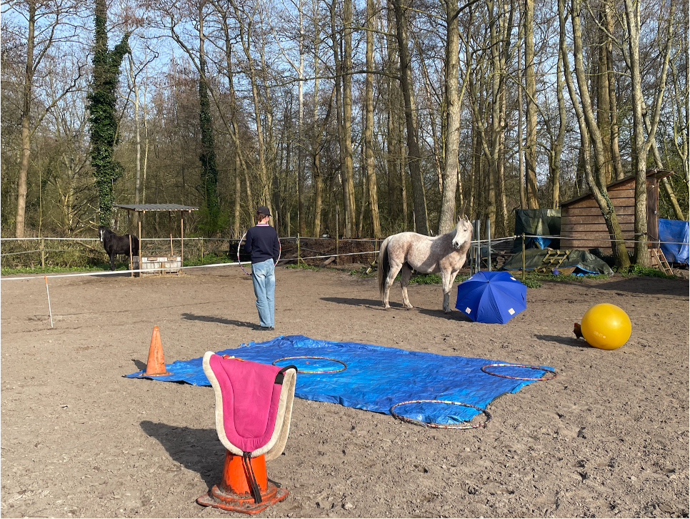 3 maanden traject om je koers te hervinden in leven en werk