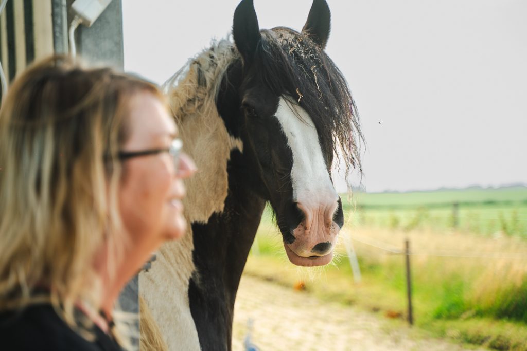 3 maanden traject om het leven dat op jou wacht op de rit te zetten