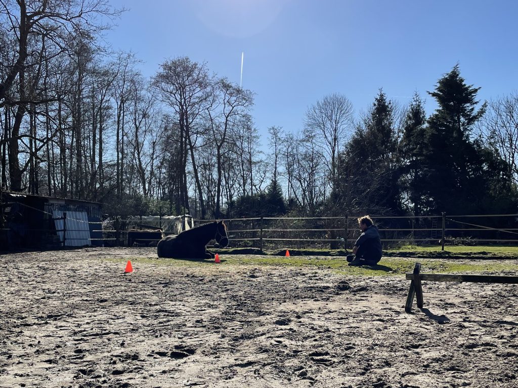 6 weken traject om grenzen te leren aanvoelen en aangeven